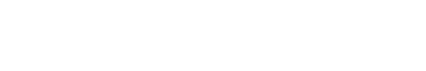 Record plus Logo